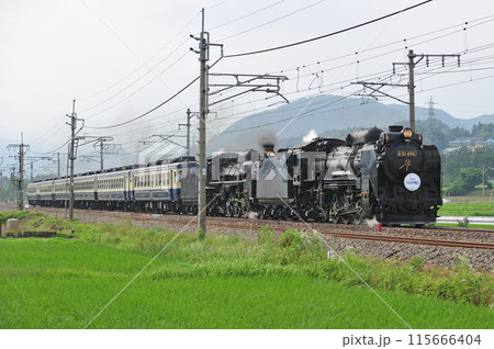 上越線　後閑ー沼田　JR東日本　D51-498＋C57-180＋12系　SL重連みなかみ物語 115666404