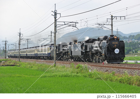 上越線　後閑ー沼田　JR東日本　D51-498＋C57-180＋12系　SL重連みなかみ物語 115666405