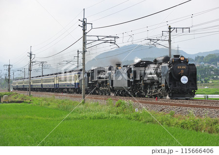上越線　後閑ー沼田　JR東日本　D51-498＋C57-180＋12系　SL重連みなかみ物語 115666406