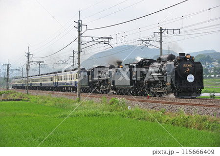 上越線 後閑ー沼田 JR東日本 D51-498+C57-180+12系 SL重連みなかみ物語 上越線 後閑ー沼田 JR東日本 D51-498+C57-180+12系 SL重連みなかみ物語 115666409