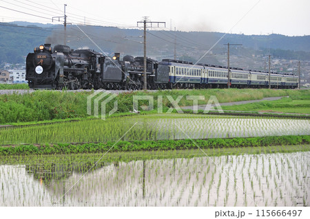 上越線　渋川ー八木原　JR東日本　D51-498+C57-180+12系　SL重連みなかみ物語 115666497