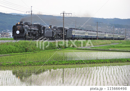 上越線　渋川ー八木原　JR東日本　D51-498+C57-180+12系　SL重連みなかみ物語 115666498