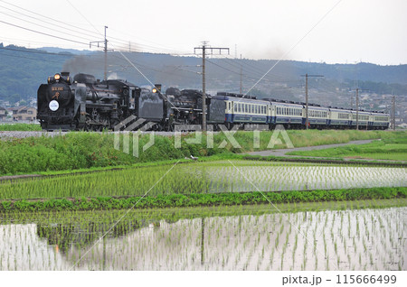 上越線　渋川ー八木原　JR東日本　D51-498+C57-180+12系　SL重連みなかみ物語 115666499