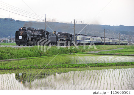 上越線　渋川ー八木原　JR東日本　D51-498+C57-180+12系　SL重連みなかみ物語 115666502