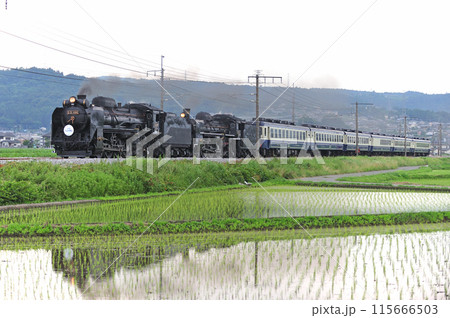 上越線　渋川ー八木原　JR東日本　D51-498+C57-180+12系　SL重連みなかみ物語 115666503