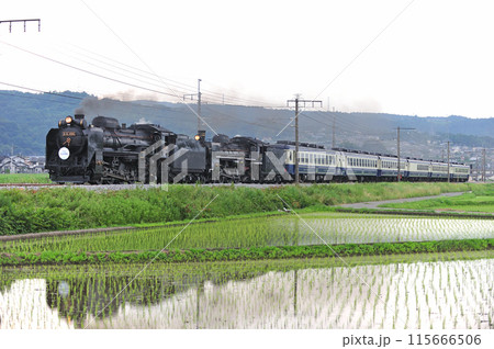 上越線　渋川ー八木原　JR東日本　D51-498+C57-180+12系　SL重連みなかみ物語 115666506
