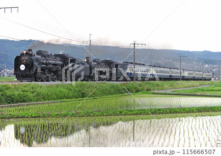 上越線　渋川ー八木原　JR東日本　D51-498+C57-180+12系　SL重連みなかみ物語 115666507