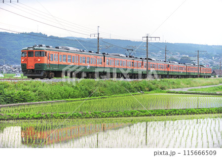 上越線 渋川ー八木原 JR東日本 115系 T1035+T1043編成(高崎) 上越線 渋川ー八木原 JR東日本 115系 T1035+T1043編成(高崎) 115666509