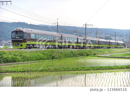 上越線 渋川ー八木原 JR東日本 485系 YD01編成(高崎) リゾートやまどり草津 上越線 渋川ー八木原 JR東日本 485系 YD01編成(高崎) リゾートやまどり草津 115666510