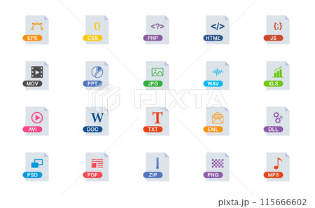 File Type Icons Set. Format and Extension of Documents. File Format Icon. Vector illustration. 115666602