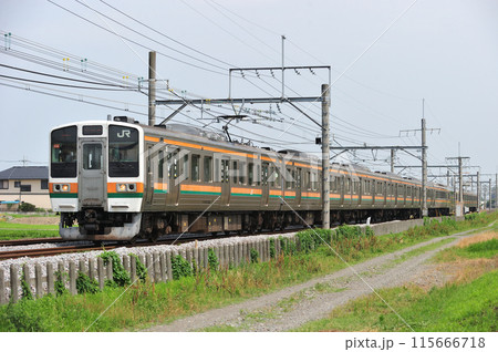 高崎線　行田ー熊谷　JR東日本　211系　C6編成（高崎） 115666718