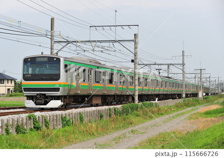 高崎線　行田ー熊谷　JR東日本　E231系1000番台　U111編成（高崎） 115666726