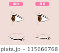 奥目　出目　目元　美容 115666768