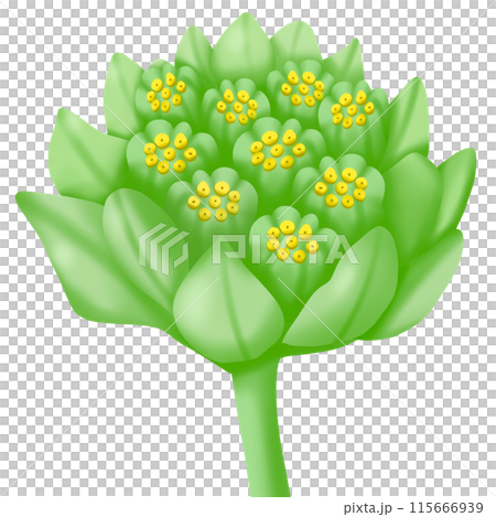 a tree with a flowers 115666939