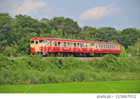 烏山線　滝ー小塙　JR東日本　キハ40-1007+キハ40-1003（宇都宮） 115667012