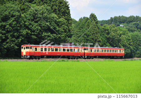 烏山線　大金ー鴻野山　JR東日本　キハ40-1007+キハ40-1003（宇都宮） 115667013