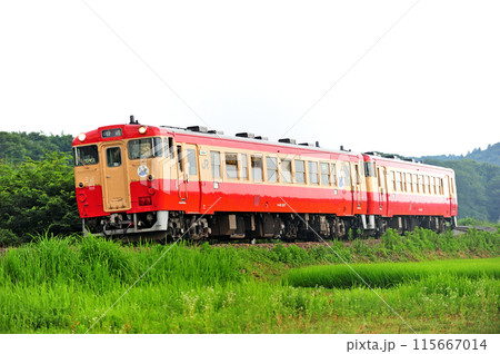 烏山線　大金ー鴻野山　JR東日本　キハ40-1007+キハ40-1003（宇都宮） 115667014