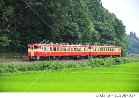 烏山線　大金ー鴻野山　JR東日本　キハ40-1007+キハ40-1003（宇都宮） 115667017