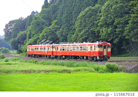烏山線 鴻野山ー大金 JR東日本 キハ40-1003+キハ40-1007(宇都宮) 烏山線 鴻野山ー大金 JR東日本 キハ40-1003+キハ40-1007(宇都宮) 115667018