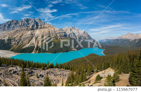 Peyto Lake panorama view in summer. Banff National Park, Canadian Rockies, Alberta, Canada. Peyto Lake panorama view in summer. Banff National Park, Canadian Rockies, Alberta, Canada. 115667077