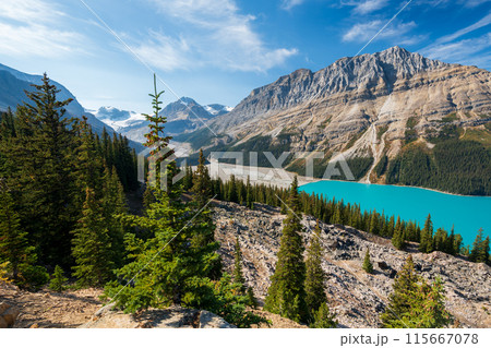 Peyto Lake in summer time. Banff National Park, Canadian Rockies, Alberta, Canada. 115667078