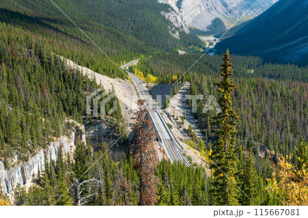 The Big Bend viewpoint and The Big Hill on the Icefields Parkway between Jasper and Banff National Park in autumn, Alberta, Canada. The Big Bend viewpoint and The Big Hill on the Icefields Parkway between Jasper and Banff National Park in autumn, Alberta, Canada. 115667081