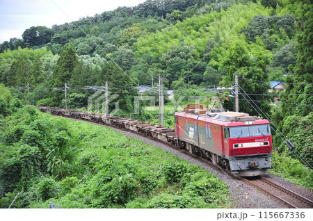 東北本線　南福島ー松川　JR貨物　EH500-51（仙台） 115667336