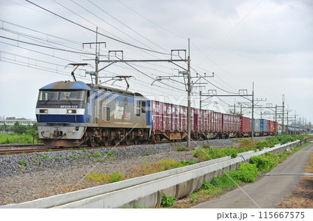東北本線 栗橋ー東鷲宮 JR貨物 EF210-117(新鶴見) 東北本線 栗橋ー東鷲宮 JR貨物 EF210-117(新鶴見) 115667575