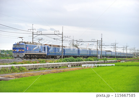 東北本線 栗橋ー東鷲宮 JR東日本 EF510-505(田端)+24系(尾久) 北斗星 東北本線 栗橋ー東鷲宮 JR東日本 EF510-505(田端)+24系(尾久) 北斗星 115667585