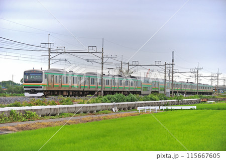 東北本線 栗橋ー東鷲宮 JR東日本 E231系1000番台 U502編成(小山) 東北本線 栗橋ー東鷲宮 JR東日本 E231系1000番台 U502編成(小山) 115667605