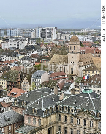 Panoramic view from the cathedral of Strasbourg. Alsace. France roof. Panoramic view from the cathedral of Strasbourg. Alsace. France roof. 115667680