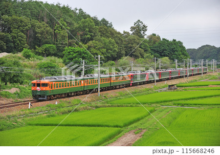 しなの鉄道　平原ー御代田　しなの鉄道　169系　S52＋S53＋S51＋S54編成　12両編成号 115668246