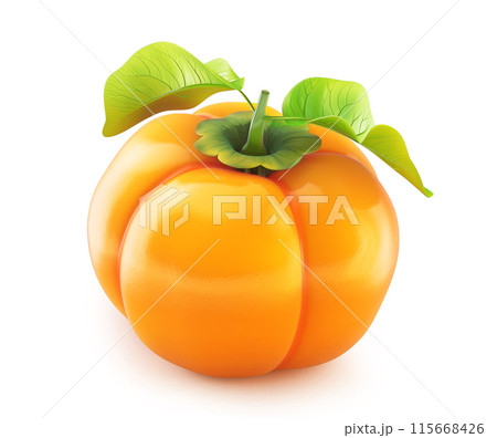 llustration of a ripe persimmon fruit with green leaves on a white background 115668426