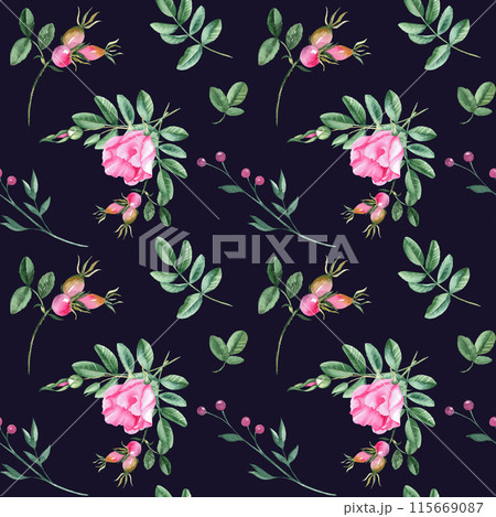 Dog rose Floral Watercolor seamless pattern on dark black background. Hand drawn botanical illustration. Rose hip flowers, buds, branches and berries. Can be used for fabric, textile, packaging prints Dog rose Floral Watercolor seamless pattern on dark black background. Hand drawn botanical illustration. Rose hip flowers, buds, branches and berries. Can be used for fabric, textile, packaging prints 115669087