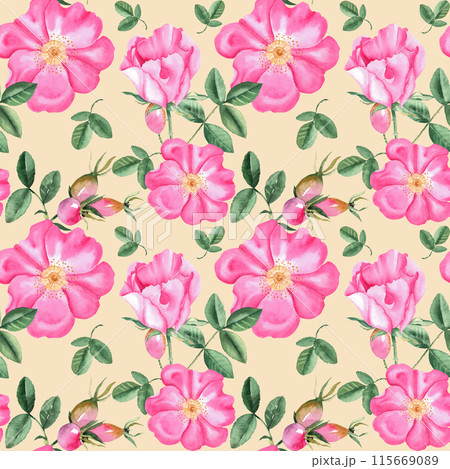 Dog rose Floral Watercolor seamless pattern on beige background. Hand drawn botanical illustration. Rose hip flowers, buds, branches and berries. Can be used for fabric, textile, packaging prints 115669089
