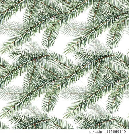 watercolor seamless pattern with coniferous branches, Christmas tree, hand drawn sketch of green fir branches, natural pine branch on white background, natural forest tree illustration watercolor seamless pattern with coniferous branches, Christmas tree, hand drawn sketch of green fir branches, natural pine branch on white background, natural forest tree illustration 115669140