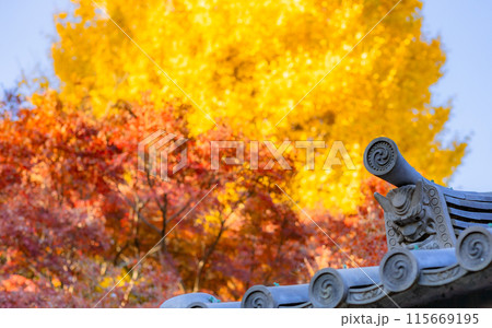 【神奈川県】高田天満宮の鬼瓦・紅葉に包まれる境内・11月　※自然風景 115669195