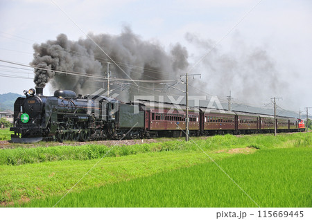 信越本線　安中ー磯部　JR東日本　C61-20+旧客＋DD51-842（高崎）　SLレトロ碓氷 115669445
