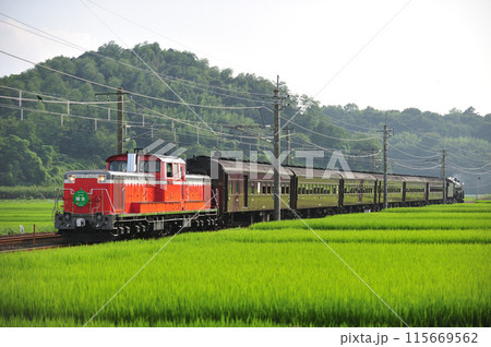 信越本線　磯部ー安中　JR東日本　DD51-842＋旧客＋C61-20（高崎）　DLレトロ碓氷 115669562