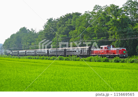 信越本線　安中ー群馬八幡　JR東日本　DD51-842＋旧客＋C61-20（高崎）　DLレトロ碓氷 115669565
