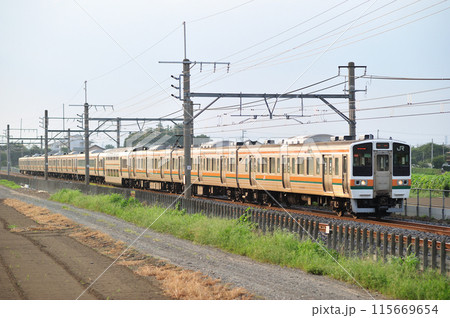 高崎線　岡部ー深谷　JR東日本　211系　C5編成（高崎） 115669654