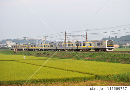 内房線　袖ケ浦ー巌根　JR東日本　209系2100番台（幕張） 115669787