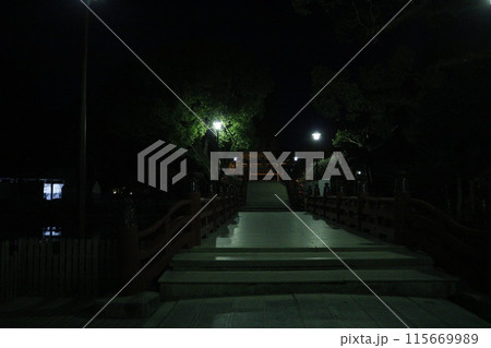 夜の神域 115669989