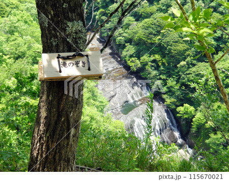 滝のぞき(登山道から見た袋田の滝) 滝のぞき(登山道から見た袋田の滝) 115670021