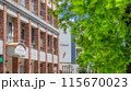 【神奈川県】新緑に包まれる横浜元町ショッピングストリート ※自然風景 【神奈川県】新緑に包まれる横浜元町ショッピングストリート ※自然風景 115670023