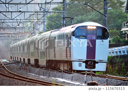 中央本線　四方津ー上野原　JR東日本　215系　NL3編成（国府津）　ホリデー快速　ビューやまなし 115670313