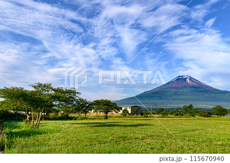 山梨県・新緑と富士山と青空の絶景(初夏イメージ) 山梨県・新緑と富士山と青空の絶景(初夏イメージ) 115670940