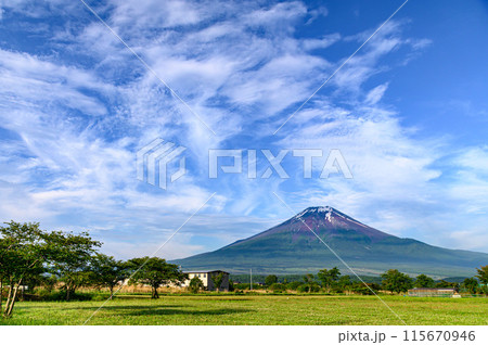 山梨県・新緑と富士山と青空の絶景（初夏イメージ） 115670946