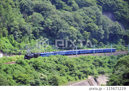 上越線 上牧ー水上 JR東日本 C61-20+12系(高崎) SLみなかみ 上越線 上牧ー水上 JR東日本 C61-20+12系(高崎) SLみなかみ 115671229
