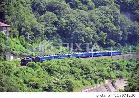 上越線 上牧ー水上 JR東日本 C61-20+12系(高崎) SLみなかみ 上越線 上牧ー水上 JR東日本 C61-20+12系(高崎) SLみなかみ 115671230